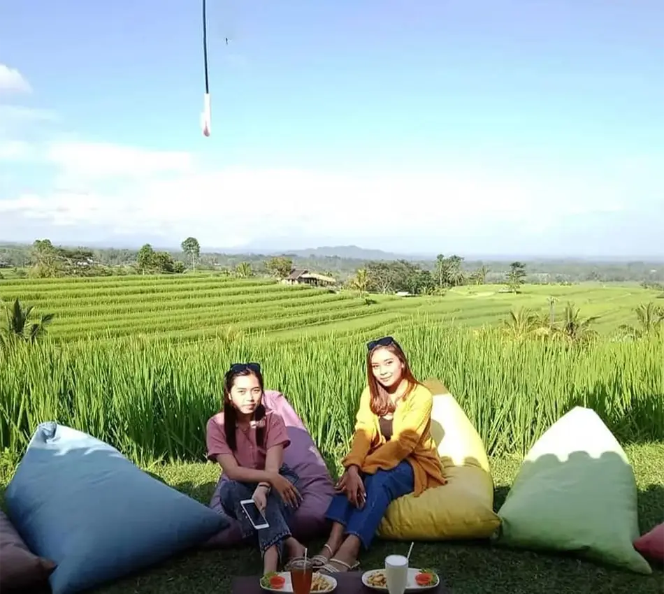 jatiluwih rice terraces