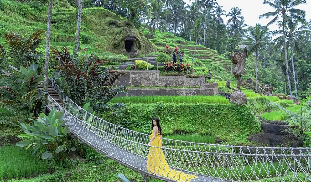 tegalalang rice terraces