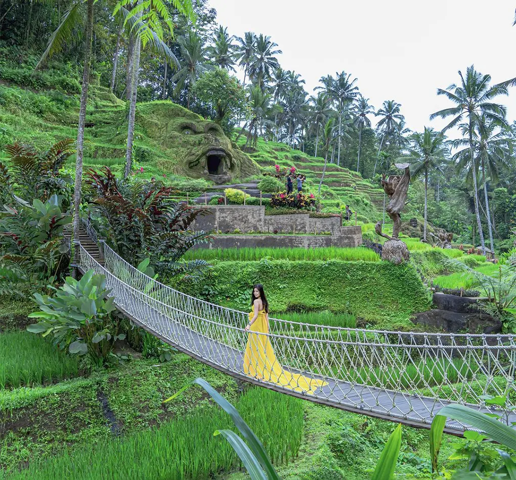 tegalalang rice terraces