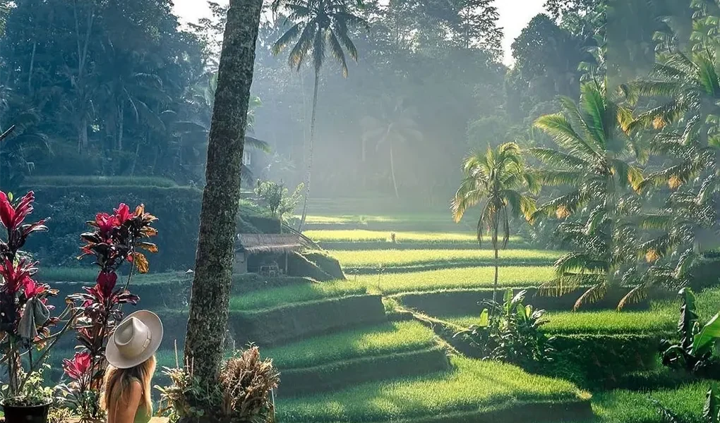 tegalalang rice terraces