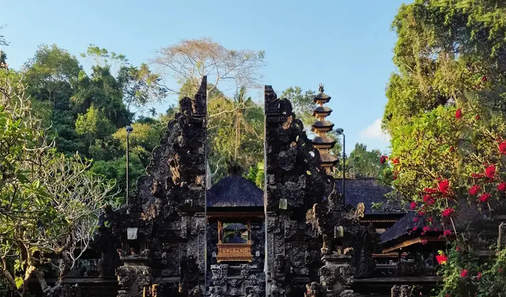 ubud trekking tour