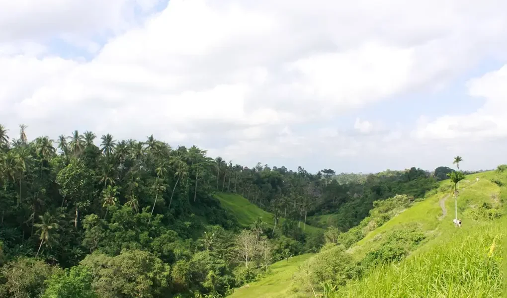 ubud trekking tour