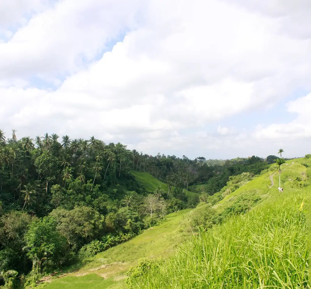 ubud trekking tour