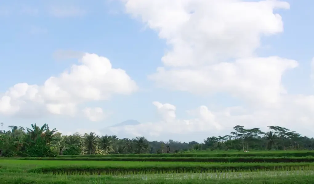 ubud trekking tour