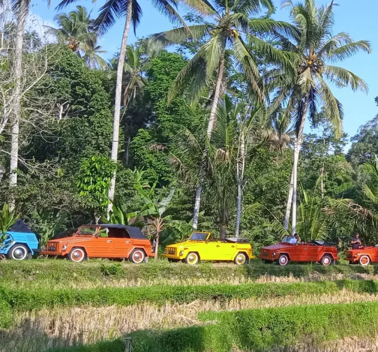 Volkswagen Bali Tour