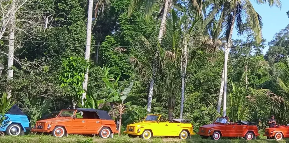 Volkswagen Bali Tour