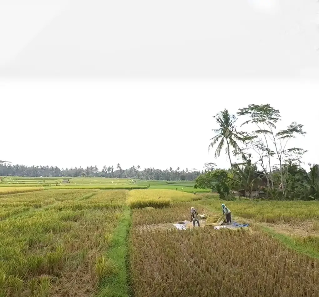 ebike ubud cycling tour