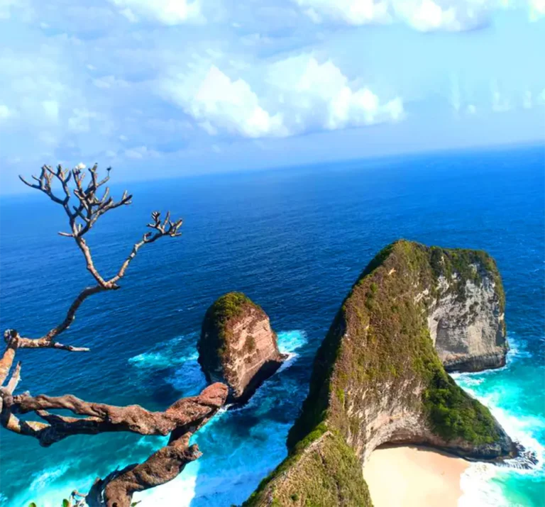 private nusa penida tour