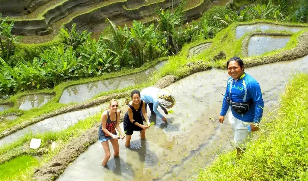 ubud bike cycling tour