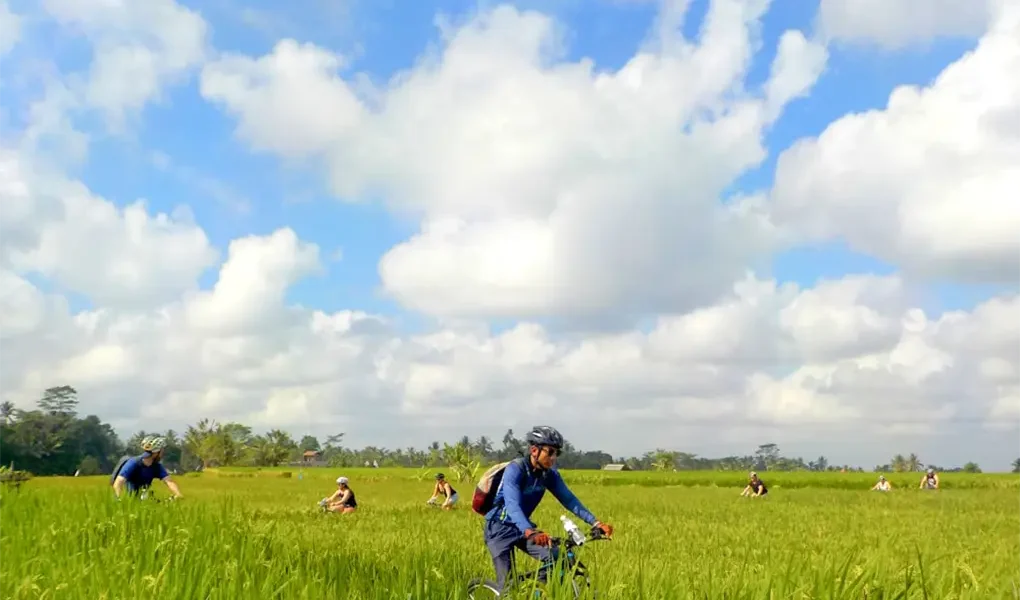 ubud bike cycling tour