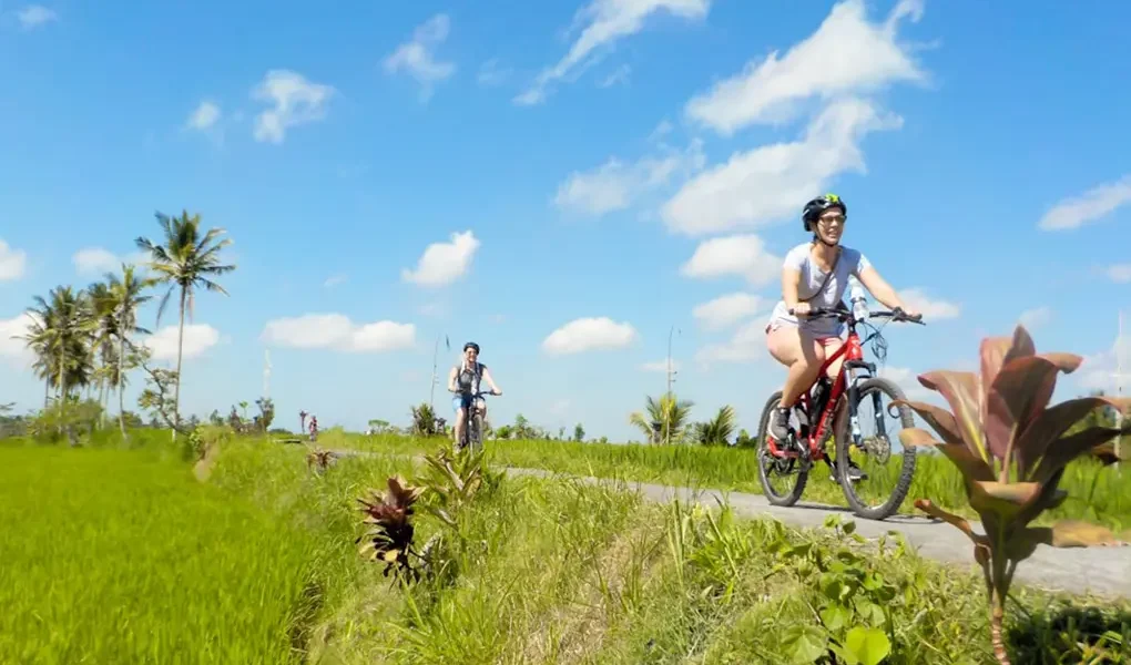 ubud bike cycling tour