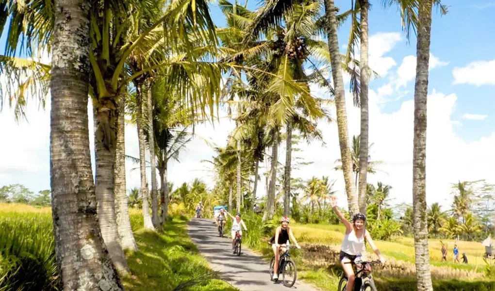 ubud bike cycling tour