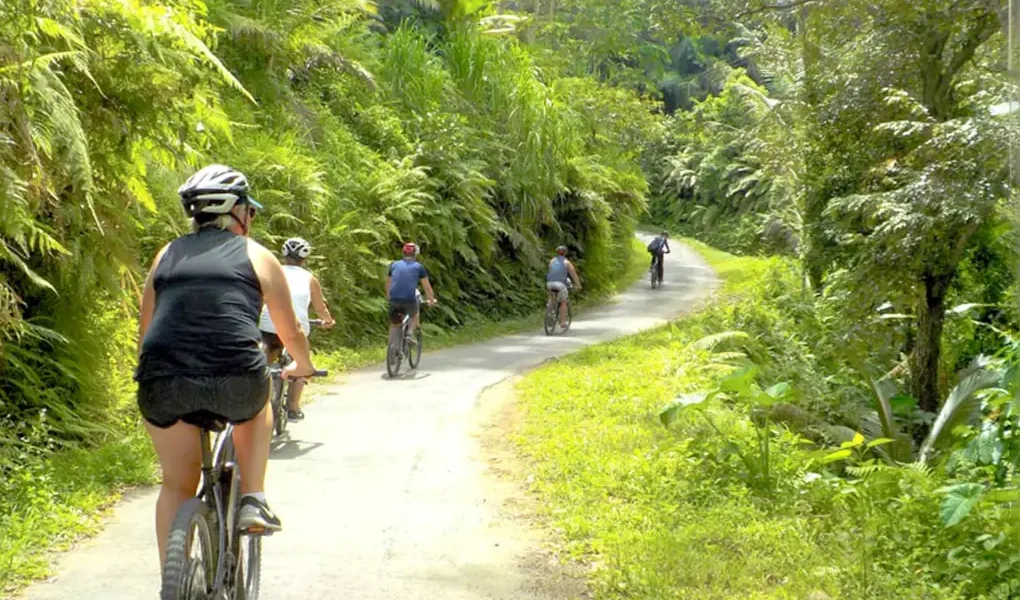 ubud bike cycling tour