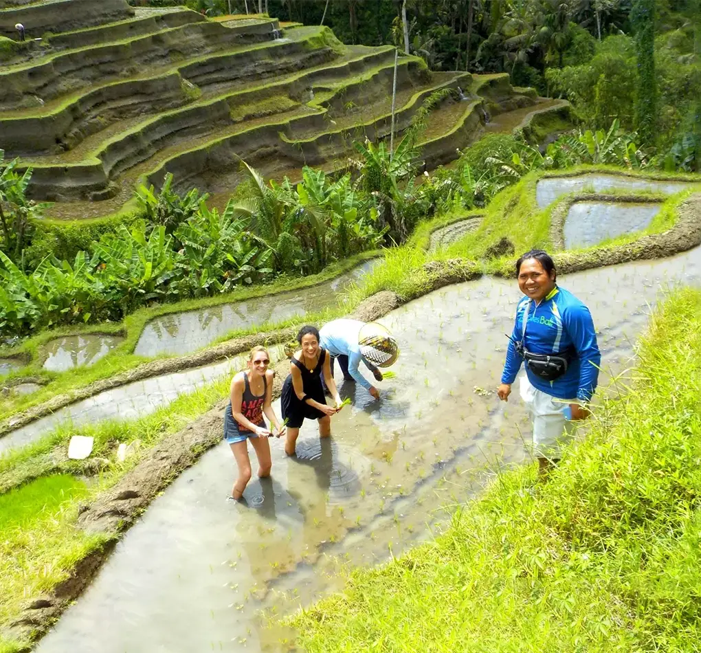 e-bike ubud cycling tour