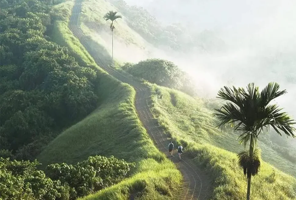 campuhan ride walk ubud